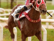 Corrida 15/06/25